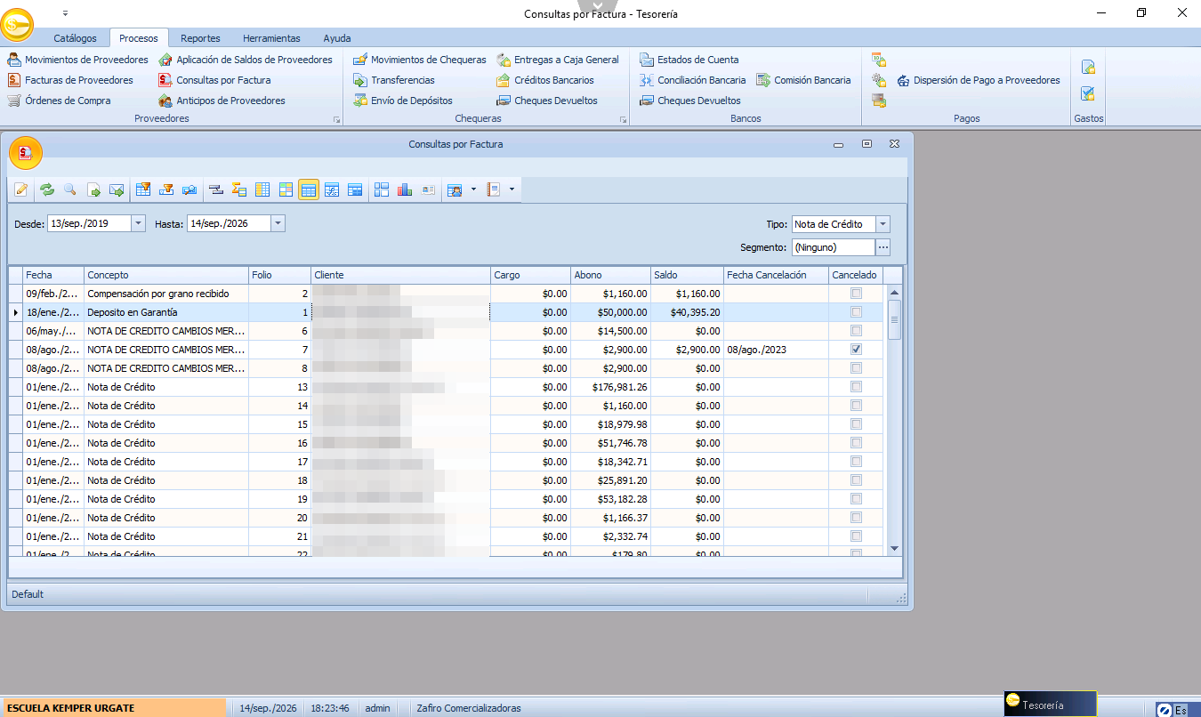 Consulta de Facturas de Zafirosoft ERP para servicios